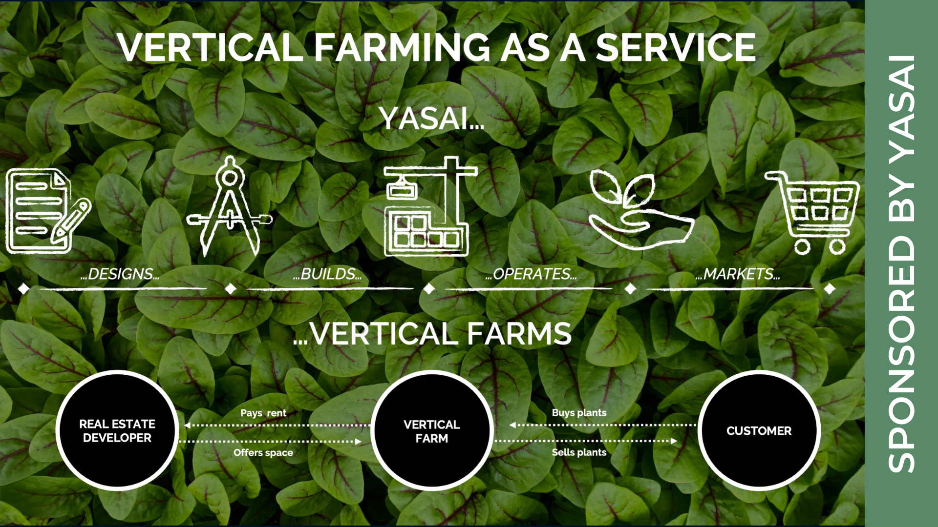 Vertical Farming as a Service – Business Model by YASAI