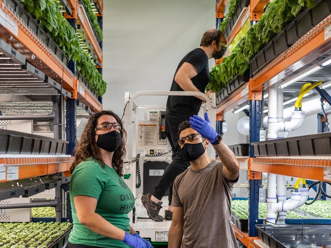 Zain Shauk, CEO of Dream Harvest Farming, talks with Bree McDaniel, the company’s horticulture manager. Mr. Shauk left journalism to work in agriculture. Photograph by Michael Starghill Jr. for The Wall Street Journal.