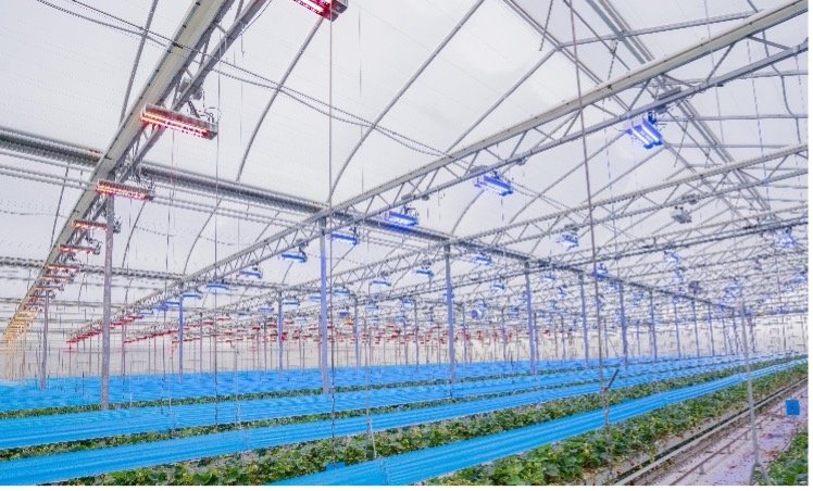 Smart Greenhouse with Dynamic LED Lighting