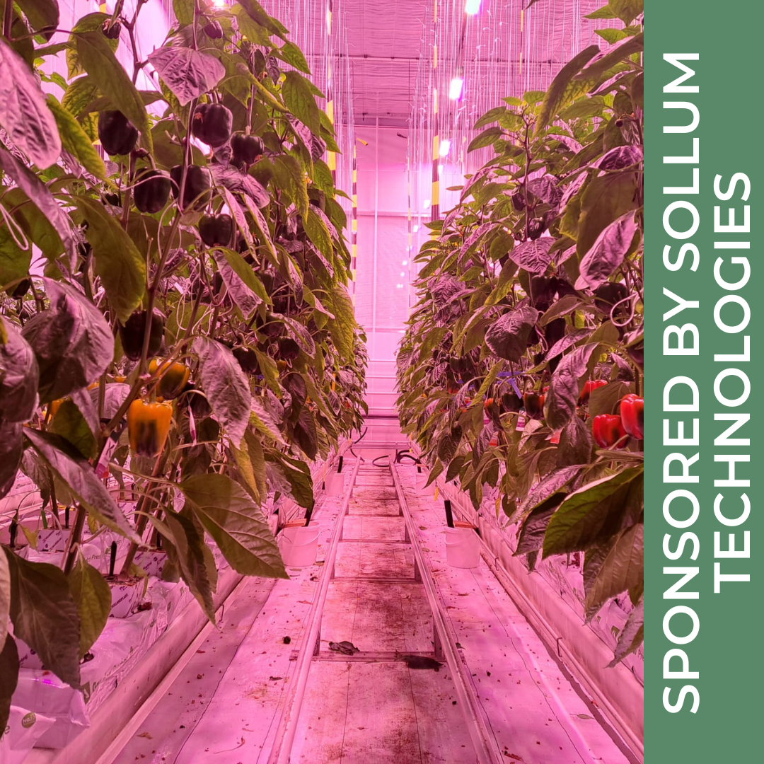 Sollum Technologies and Delphy: Setting New Standards in Greenhouse Innovation