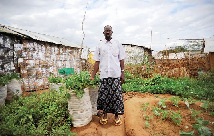 Transforming African agriculture - Points of Light