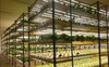 4 Malaysian Engineers On Vertical Farming, Food Sustainability ...