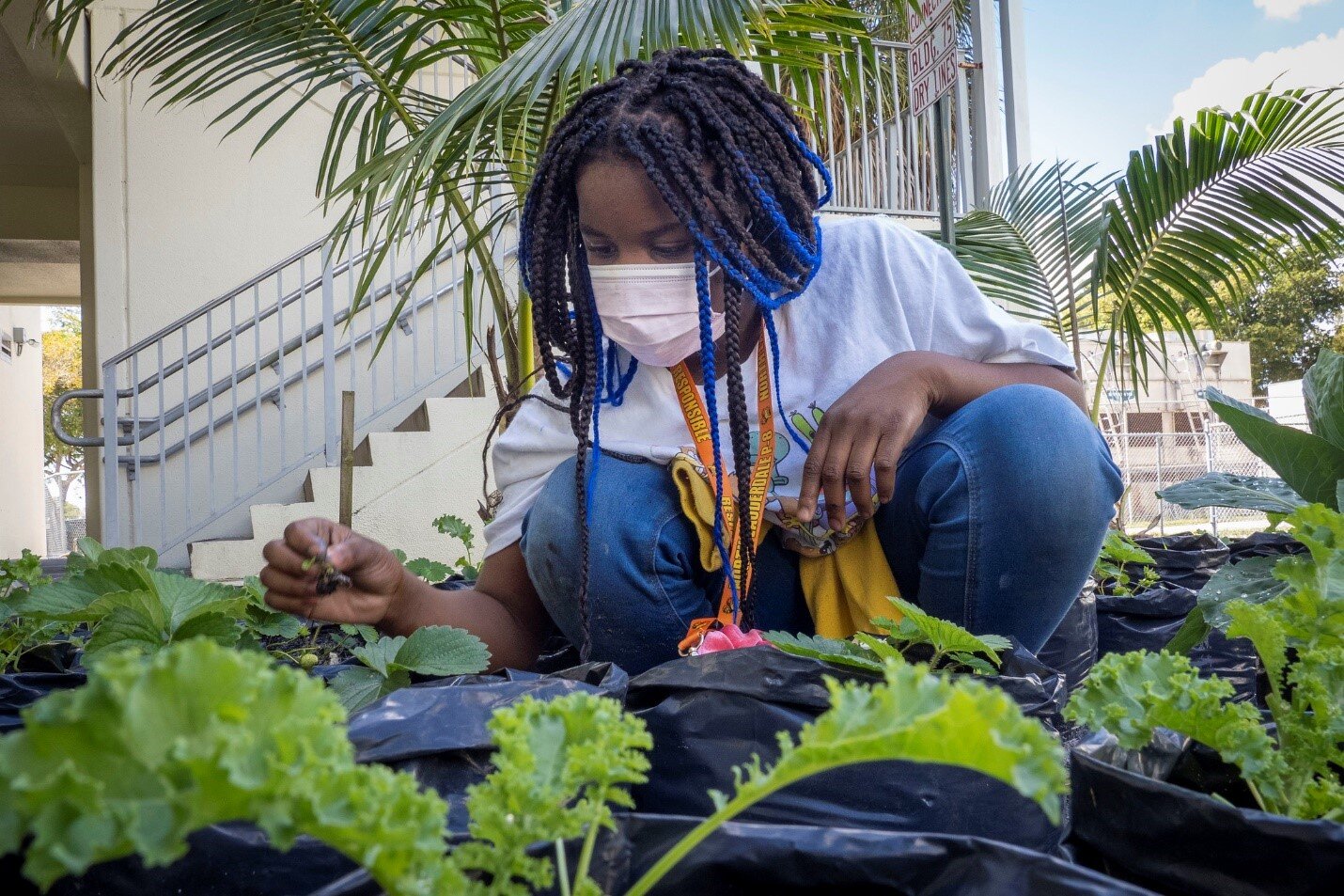 USDA Announces Grants For Urban Agriculture And Innovative Production