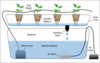 Soilless Agriculture: An In-depth Overview — Agritecture