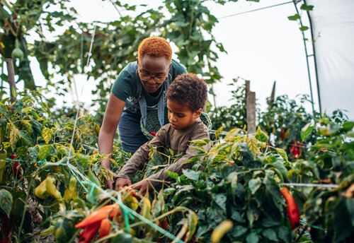 Sustainable Agriculture Is The Future Of Farming – Here’s Why — AGRITECTURE