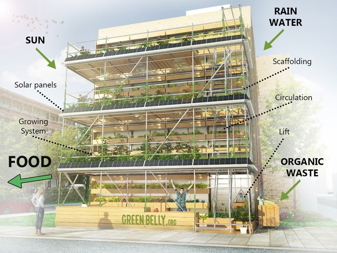 The Vertical Farm