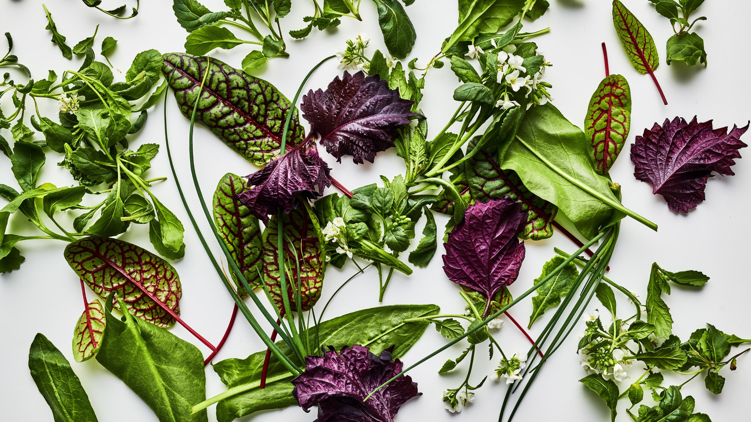 Vertical Farming Company 'Bowery' Raises $90 Million In New Funding ...