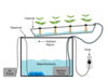 Soilless Agriculture: An In-depth Overview — AGRITECTURE