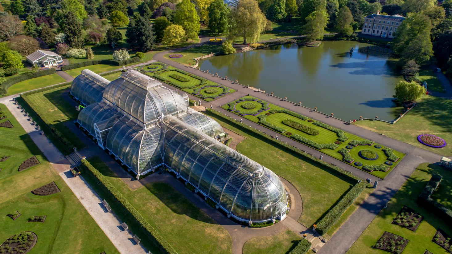 Palm house. Королевский Ботанический сад Кью в Англии. Королевские Ботанические сады Кью-Гарденс. Королевские Ботанические сады Кью, Лондон, Великобритания. Royal Botanic Gardens, Kew. Королевские Ботанические сады в Кью.