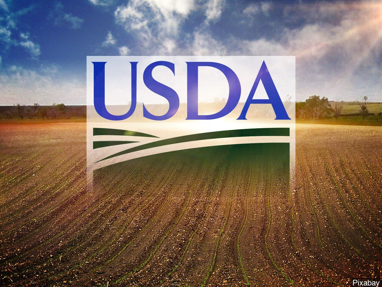 Usda Announces Grants For Urban Agriculture And Innovative Production