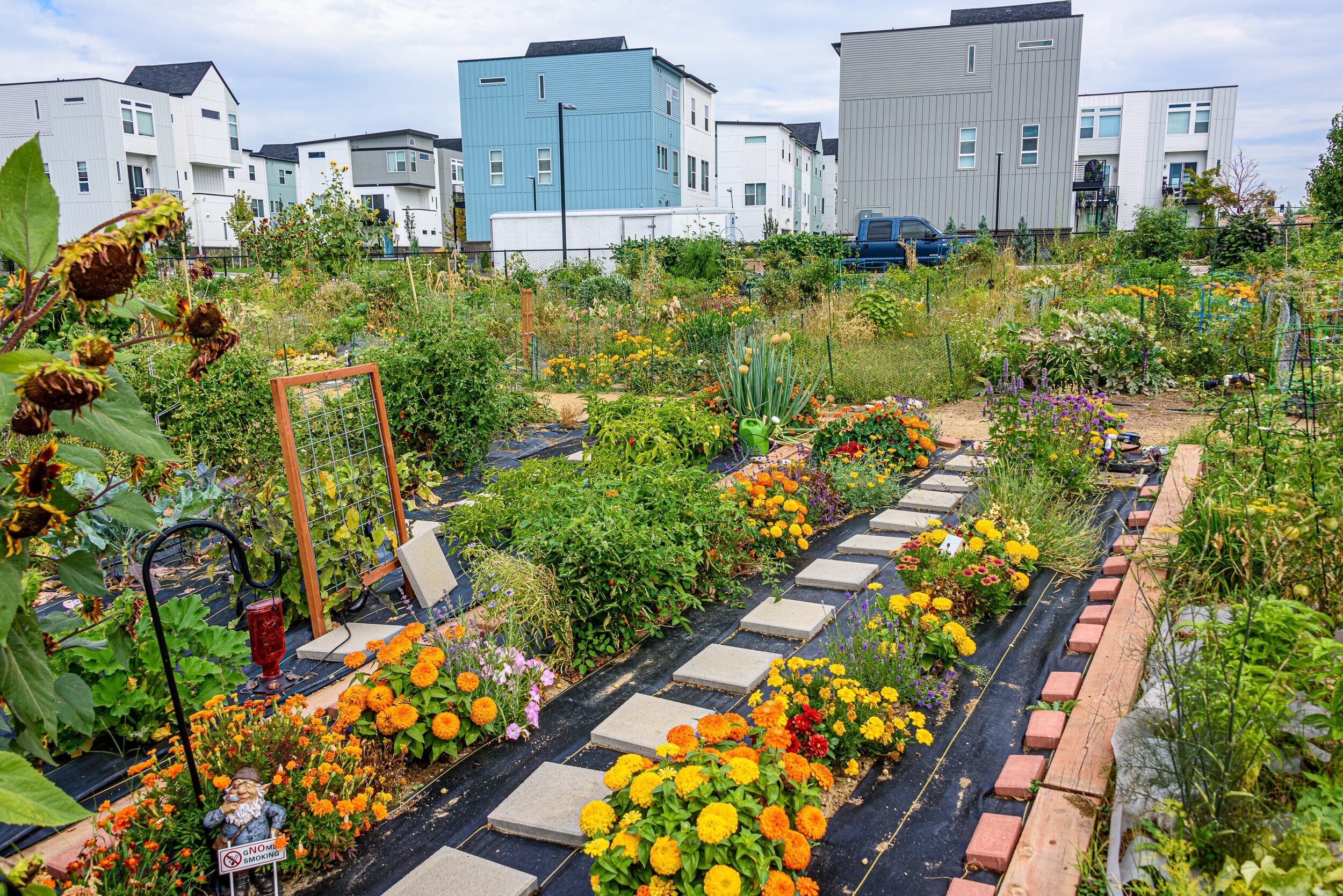 USDA Announces $14.4 Million Investment in Urban Agriculture and Innovative Production